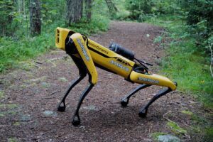 Czworonożny robot Spot firmy Boston Dynamics na leśnej ścieżce
