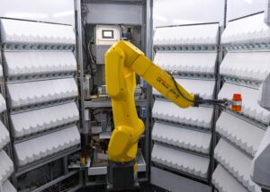 Robot FANUC LR Mate 200iD wydający leki w zautomatyzowanej aptece